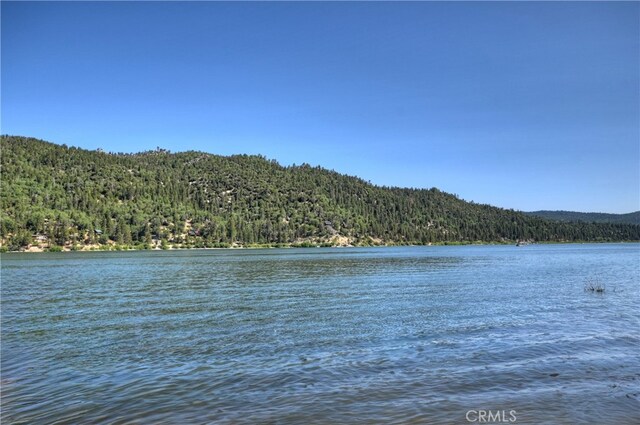 51 Big Bear Trl, Big Bear Lake, CA 92315 - photo 57