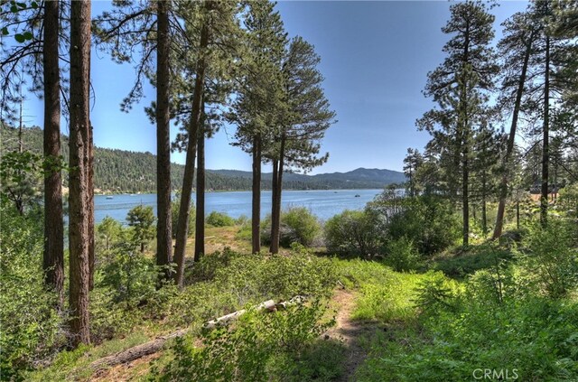 51 Big Bear Trl, Big Bear Lake, CA 92315 - photo 58