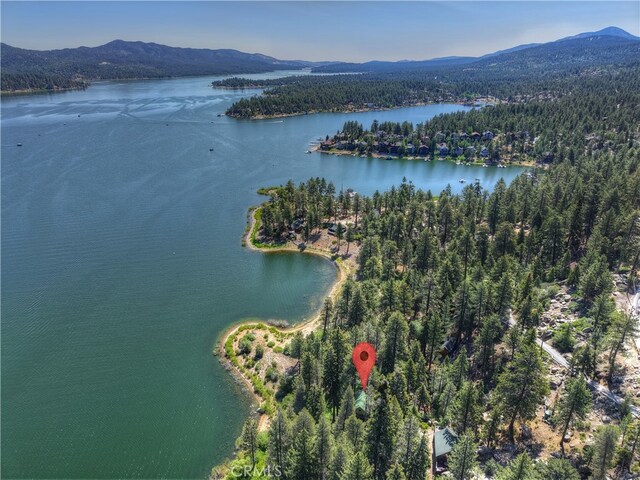 51 Big Bear Trl, Big Bear Lake, CA 92315 - photo 41