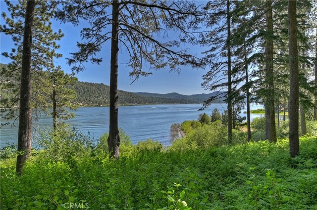 51 Big Bear Trl, Big Bear Lake, CA 92315 - photo 35