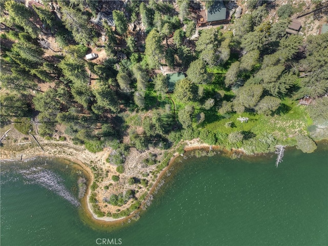 51 Big Bear Trl, Big Bear Lake, CA 92315 - photo 40