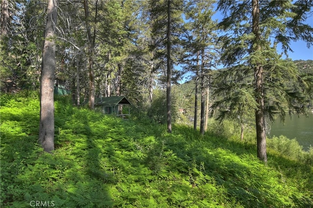 51 Big Bear Trl, Big Bear Lake, CA 92315 - photo 48