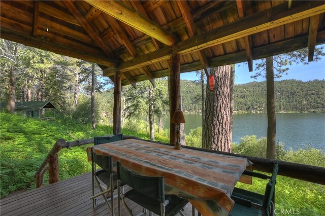 51 Big Bear Trl, Big Bear Lake, CA 92315 - photo 46