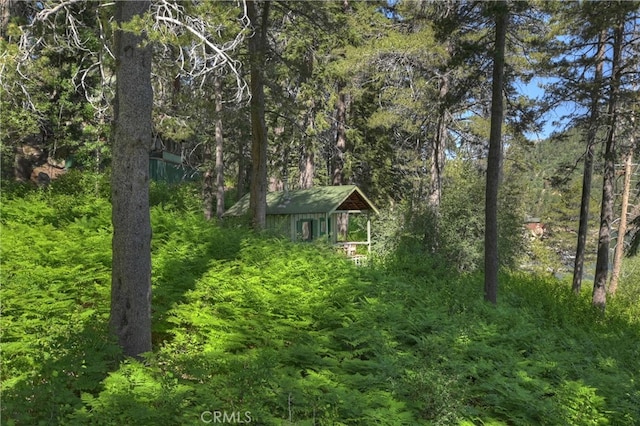51 Big Bear Trl, Big Bear Lake, CA 92315 - photo 55
