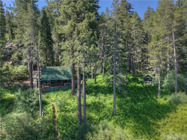51 Big Bear Trl, Big Bear Lake, CA 92315 - photo 5