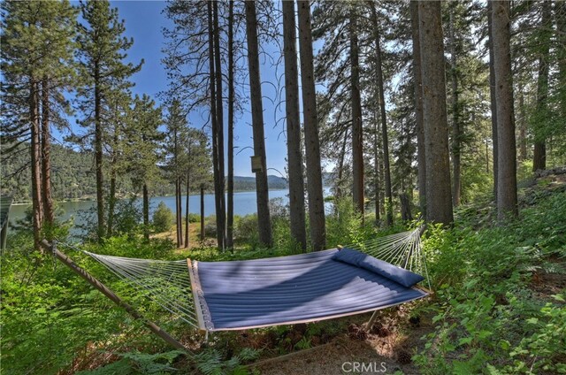 51 Big Bear Trl, Big Bear Lake, CA 92315 - photo 49