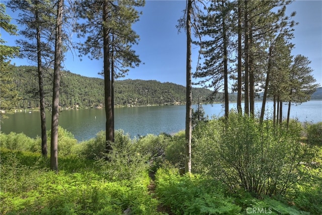 51 Big Bear Trl, Big Bear Lake, CA 92315 - photo 7