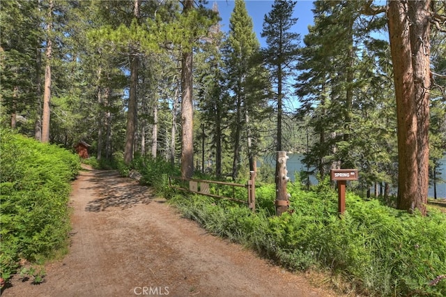 51 Big Bear Trl, Big Bear Lake, CA 92315 - photo 67