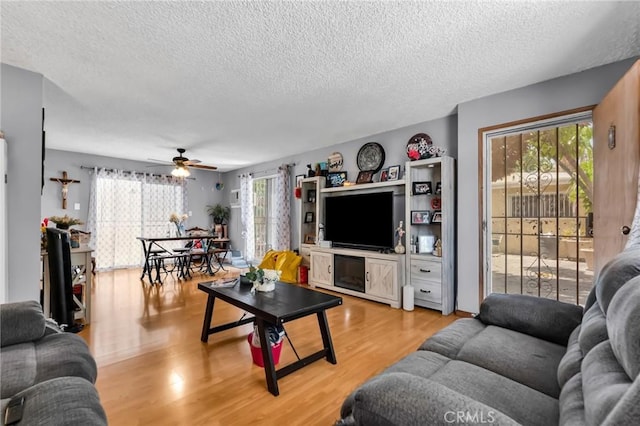 2660 Newell St, County Los Angeles, CA 90039 - living room featuring a textured ceiling, light wood-style flooring, and ceiling fan