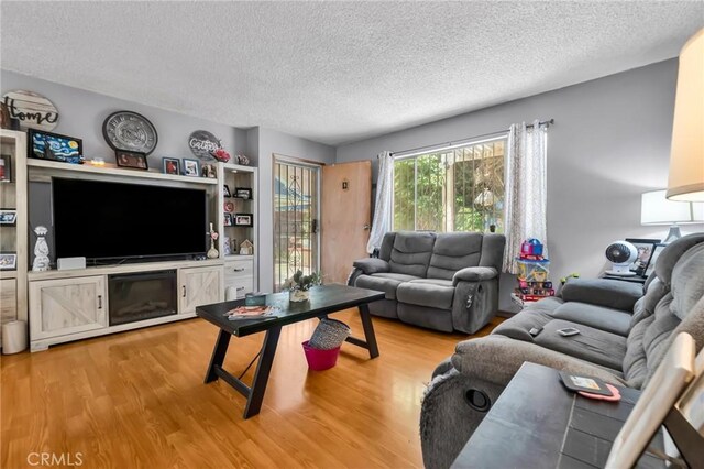2660 Newell St, County Los Angeles, CA 90039 - living room featuring a textured ceiling and light wood-style flooring