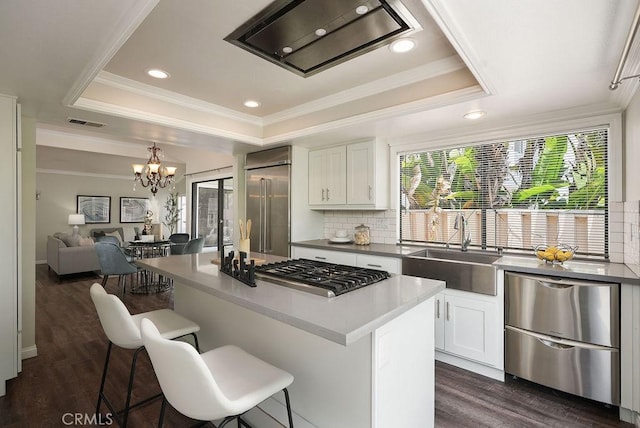 30326 Via Reata, Laguna Niguel, CA 92677 - kitchen featuring a tray ceiling, a kitchen island, a chandelier, stainless steel appliances, and crown molding