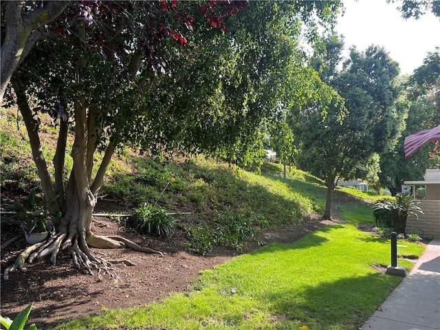 3001 Via Buena Vis Unit C, Laguna Woods, CA 92637 - view of grassy yard