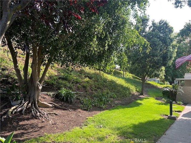 3001 Via Buena Vis Unit C, Laguna Woods, CA 92637 - photo 23