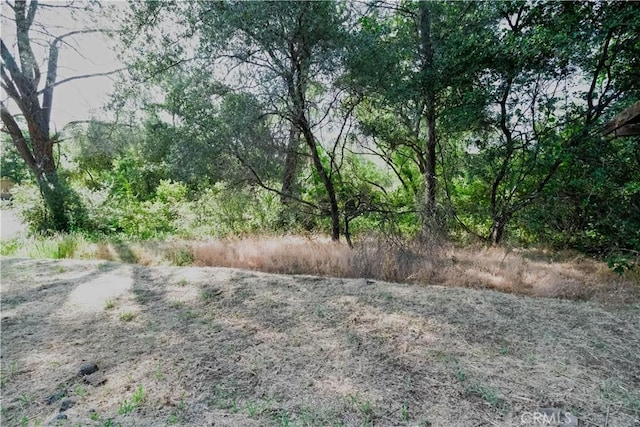 351 Ward Blvd, Oroville, CA 95966 - photo 31