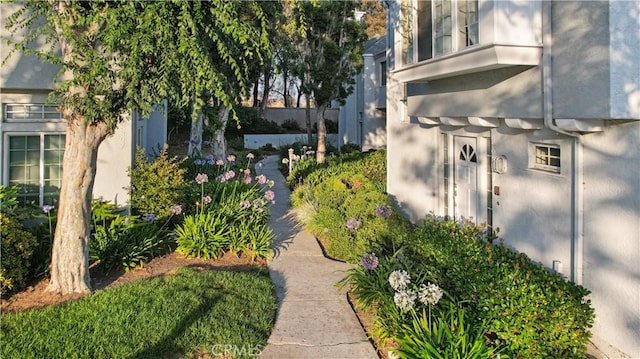 28305 Paseo El Siena Unit 10, Laguna Niguel, CA 92677 - view of yard