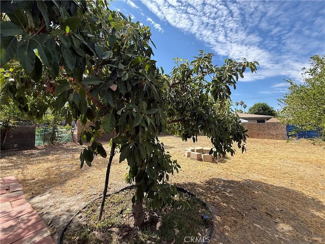 1246 W Mill St, San Bernardino, CA 92410 - view of yard