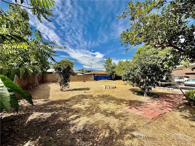 1246 W Mill St, San Bernardino, CA 92410 - view of yard