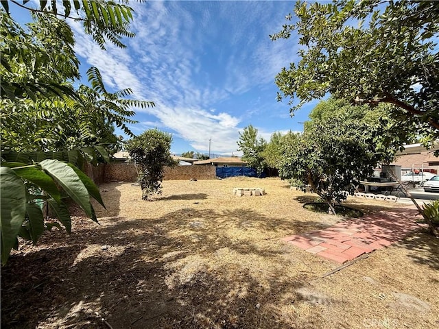 1246 W Mill St, San Bernardino, CA 92410 - view of yard
