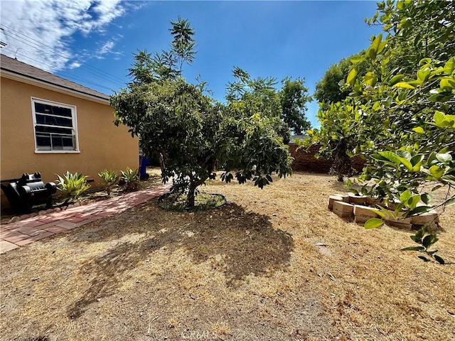 1246 W Mill St, San Bernardino, CA 92410 - view of yard