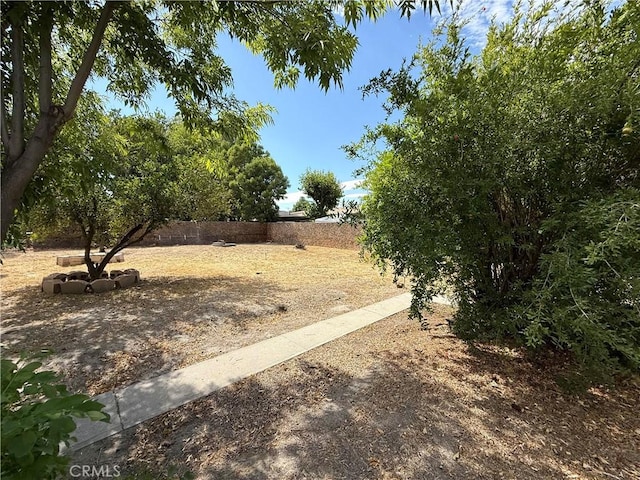 1246 W Mill St, San Bernardino, CA 92410 - view of yard