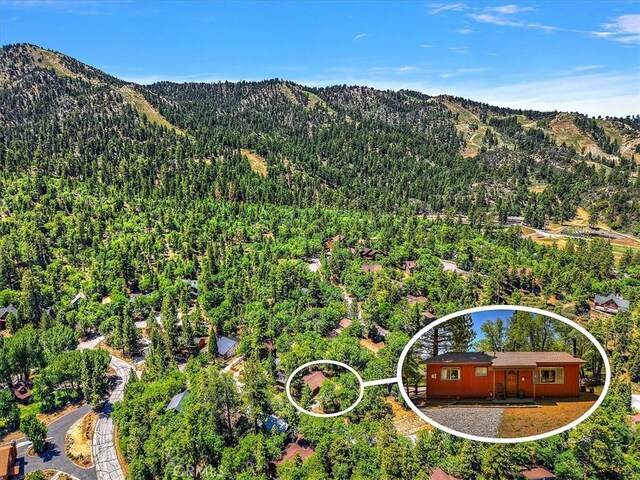 1488 Rockspray Dr, Big Bear Lake, CA 92315 - photo 4