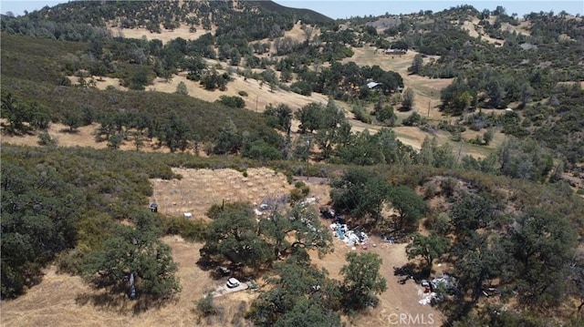 21947 Meriann Dr, Clearlake Oaks, CA 95423