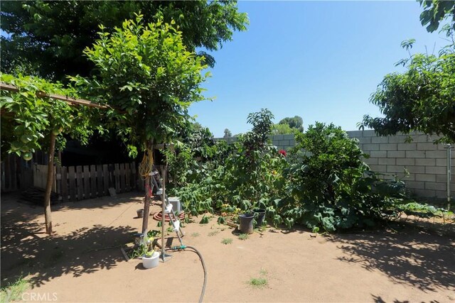 4981 Tulsa Ave, Riverside, CA 92505 - view of yard