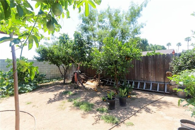 4981 Tulsa Ave, Riverside, CA 92505 - view of yard with a patio