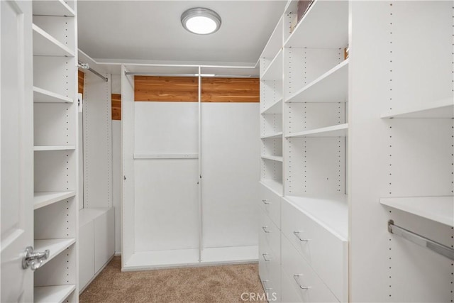 24002 Plover Ln, Laguna Niguel, CA 92677 - walk in closet featuring light carpet
