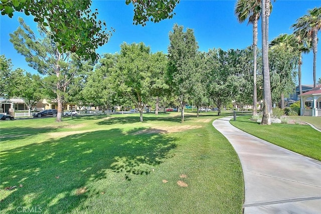 11219 Dumetz Ln, Loma Linda, CA 92354 - photo 37