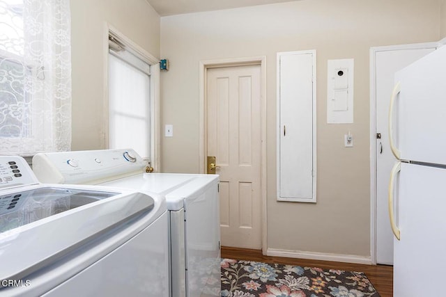 250 S Berkeley Ave, Pasadena, CA 91107 - laundry room featuring washer and dryer and wood finished floors