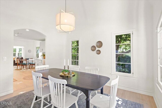 1632 Oak Grove Dr, Los Angeles, CA 90041 - photo 10