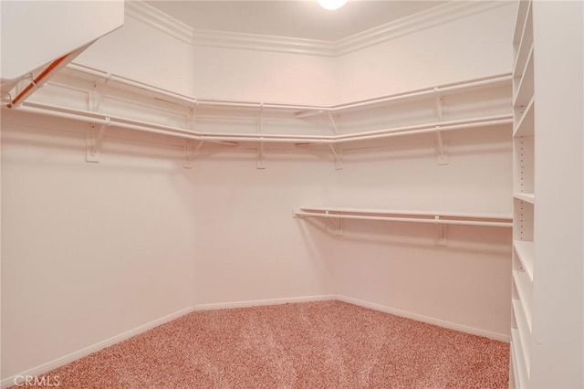26946 Shelter Cove Ct, Menifee, CA 92585 - spacious closet with carpet floors