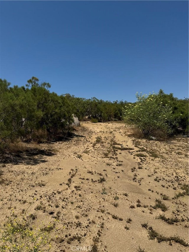 54740 Cave Rock, Anza, CA 92591 - photo 4
