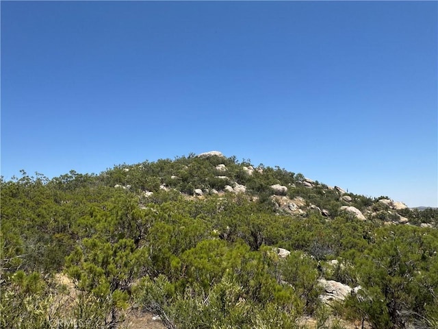 54740 Cave Rock, Anza, CA 92591 - photo 11