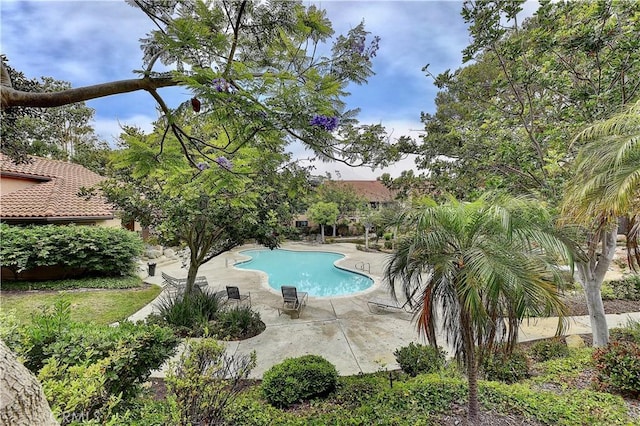 1046 Calle Del Cerro Unit 412, San Clemente, CA 92672 - view of swimming pool featuring a patio area
