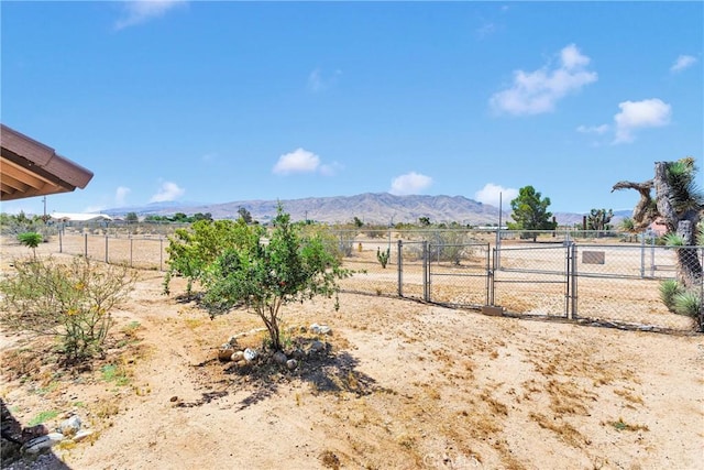 10443 Caribou Ave, Apple Valley, CA 92308 - photo 34