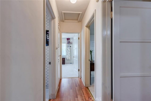 371 Sierra Madre Villa, Pasadena, CA 91107 - photo 29