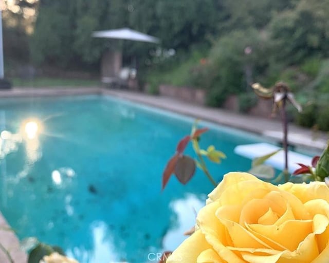 26261 Veva Way, Calabasas, CA 91302 - view of outdoor pool