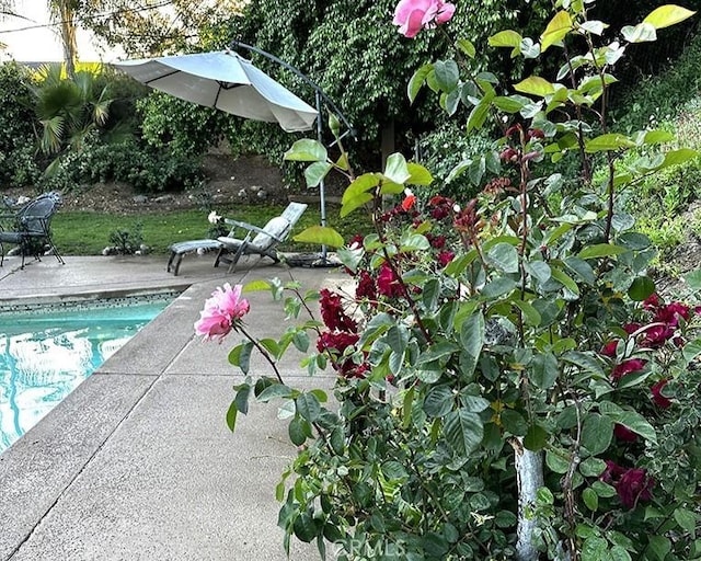 26261 Veva Way, Calabasas, CA 91302 - swimming pool with a patio