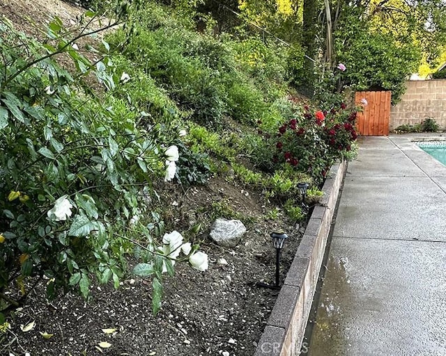 26261 Veva Way, Calabasas, CA 91302 - view of yard