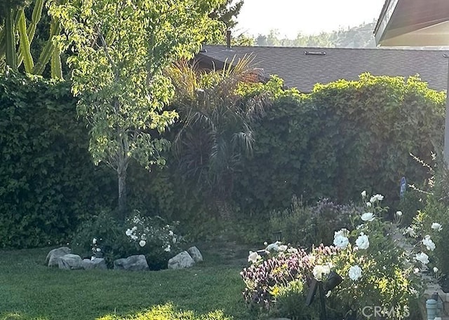 26261 Veva Way, Calabasas, CA 91302 - view of green lawn