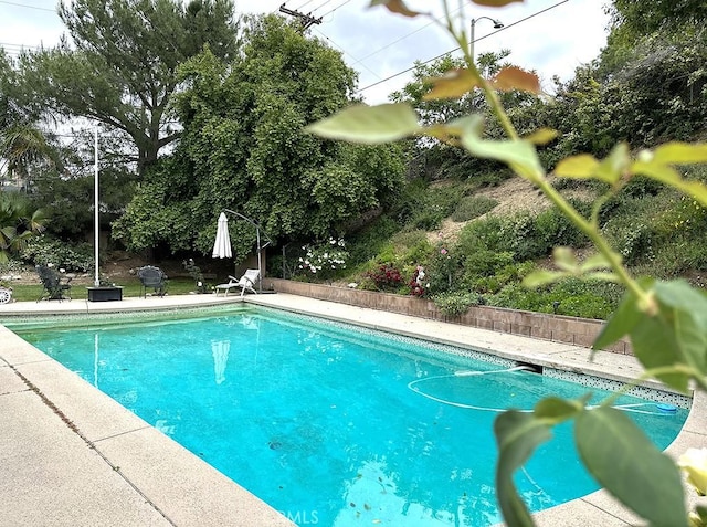 26261 Veva Way, Calabasas, CA 91302 - view of swimming pool