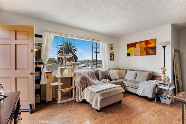 1900 Vanderbilt Ln, Redondo Beach, CA 90278 - living room featuring light wood-style floors and a textured ceiling