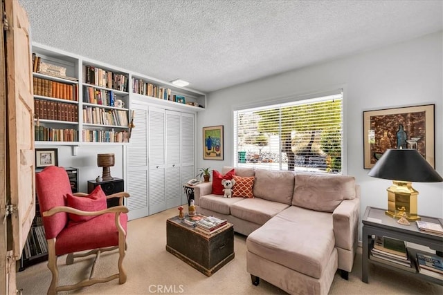 54832 Benecia Trl, Yucca Valley, CA 92284 - living area with a textured ceiling and carpet flooring