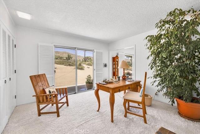 54832 Benecia Trl, Yucca Valley, CA 92284 - office with a textured ceiling and carpet