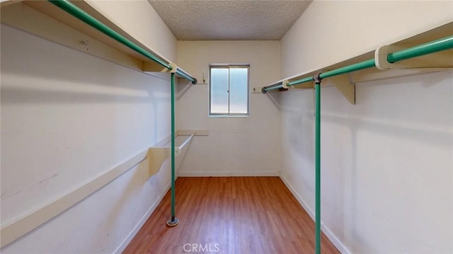 5338 Waldo Pl, Los Angeles, CA 90041 - photo 23