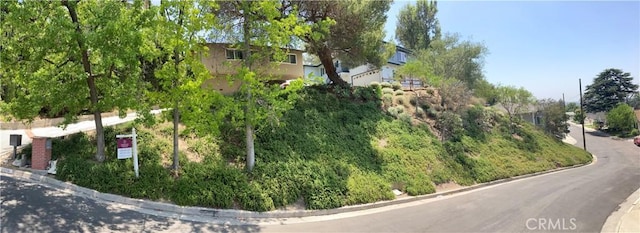 5338 Waldo Pl, Los Angeles, CA 90041 - photo 39