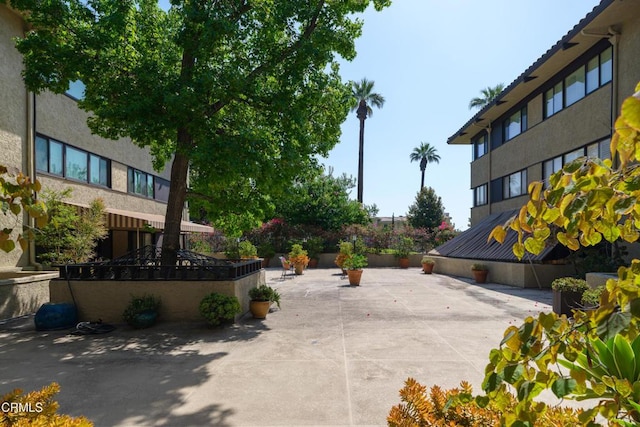 111 S Orange Grove Blvd Unit 203, Pasadena, CA 91105 - view of patio / terrace