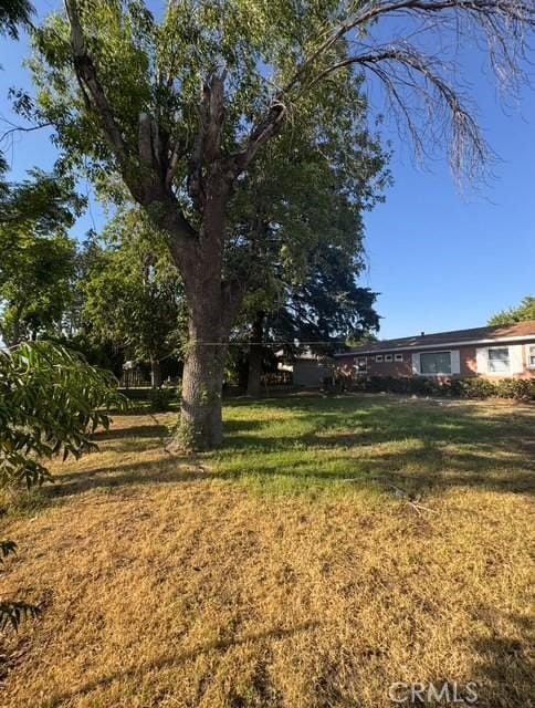9167 Citrus Ave, Fontana, CA 92335 - view of green lawn